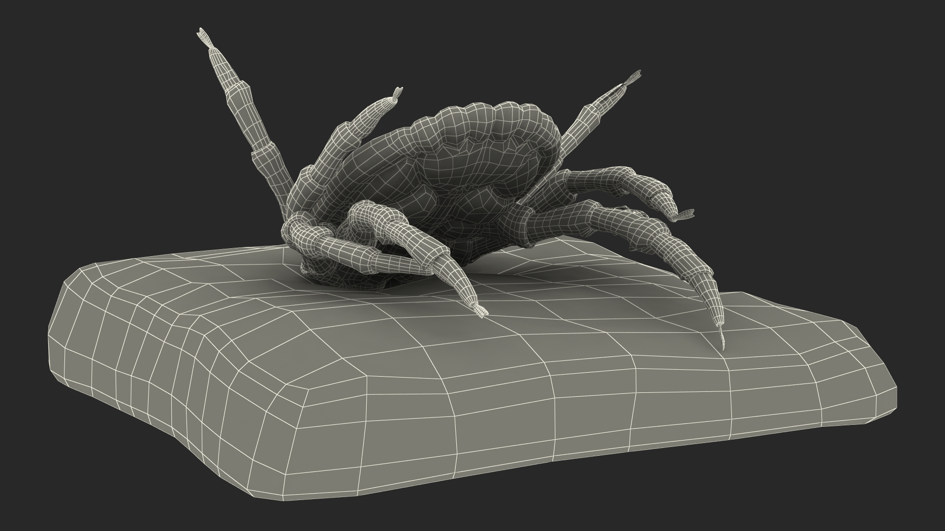 3D Tick Stuck in Skin model