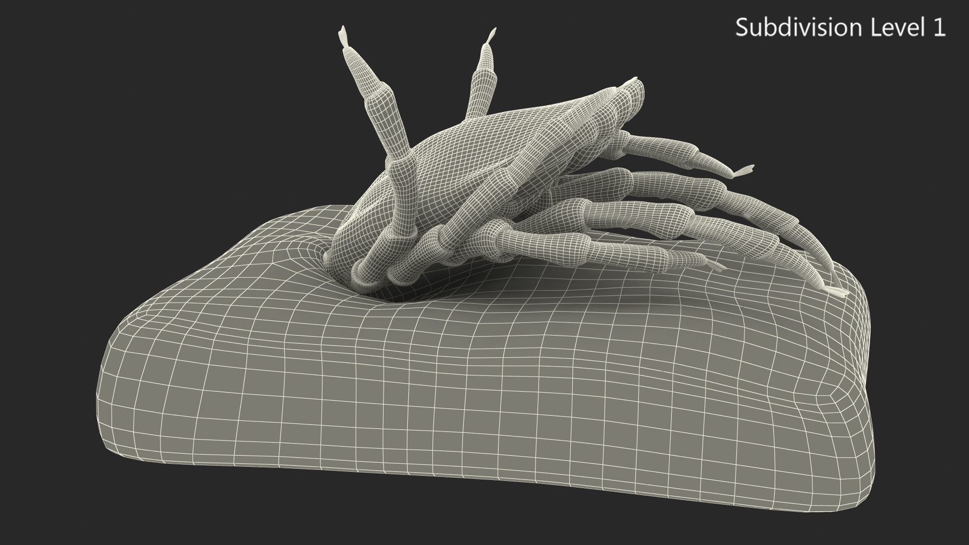 3D Tick Stuck in Skin model