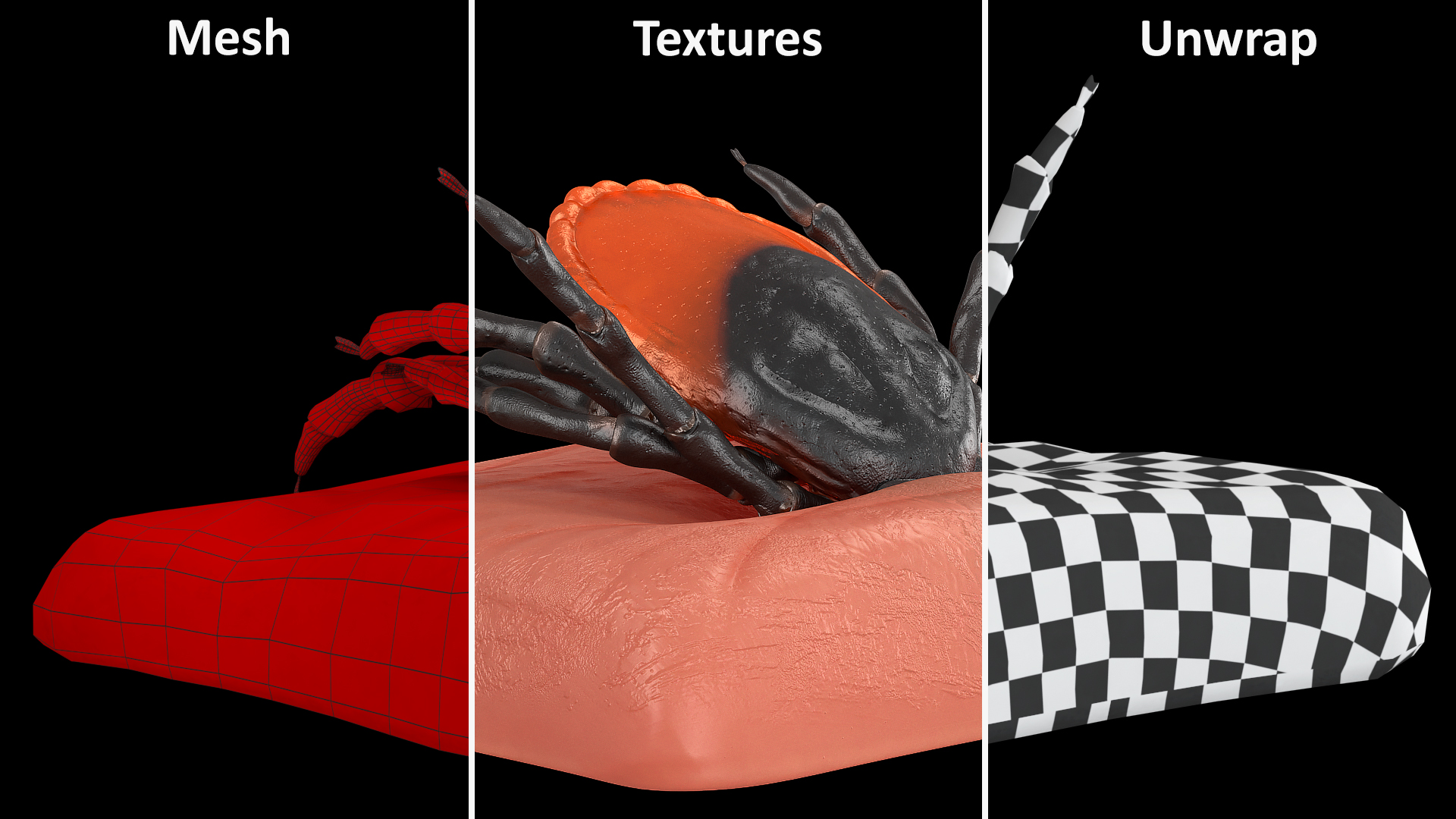3D Tick Stuck in Skin model