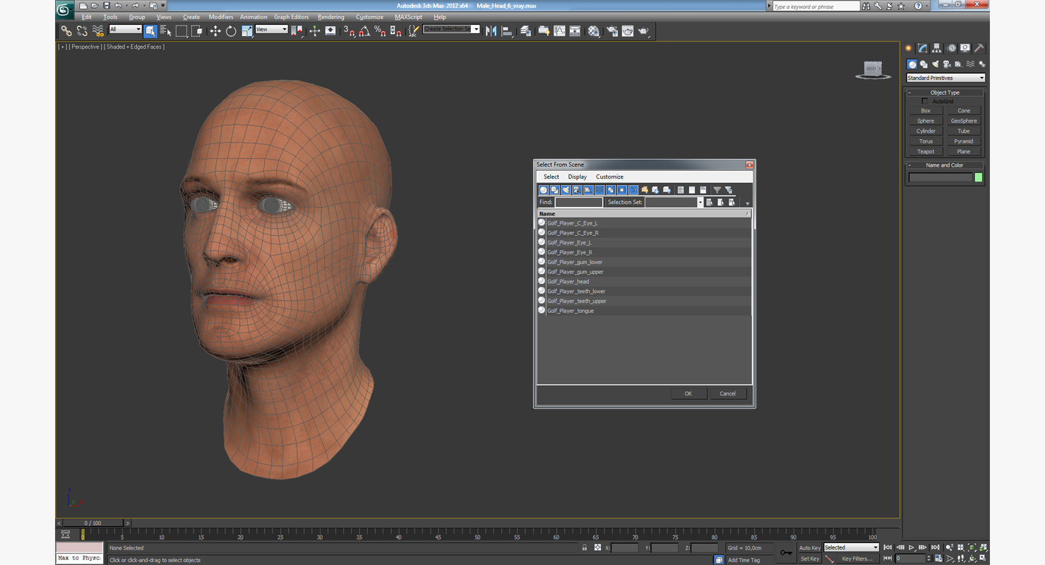 3D Male Head 6