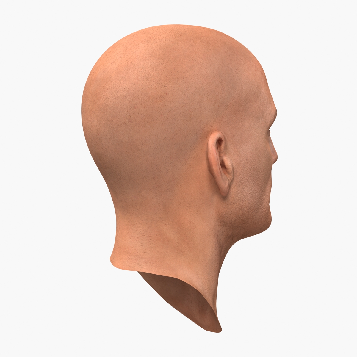 3D Male Head 6