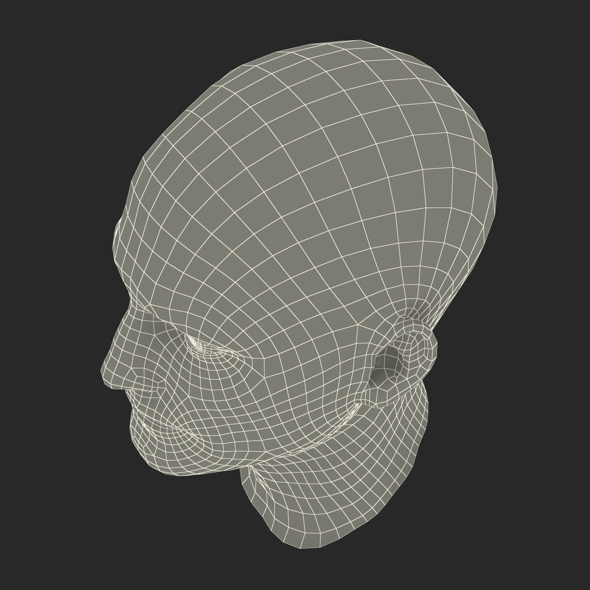 3D Male Head 6