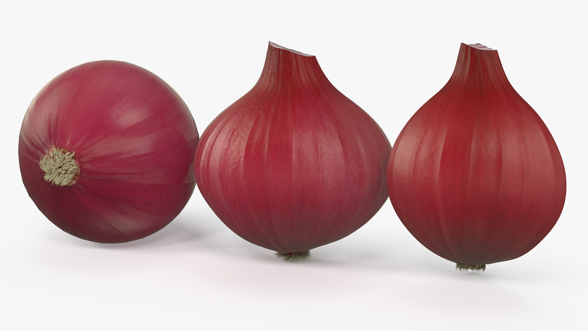 Red Onions Fur 3D model
