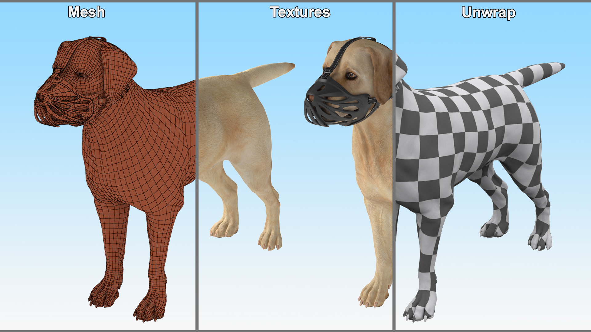 3D model Labrador Dog White with Muzzle