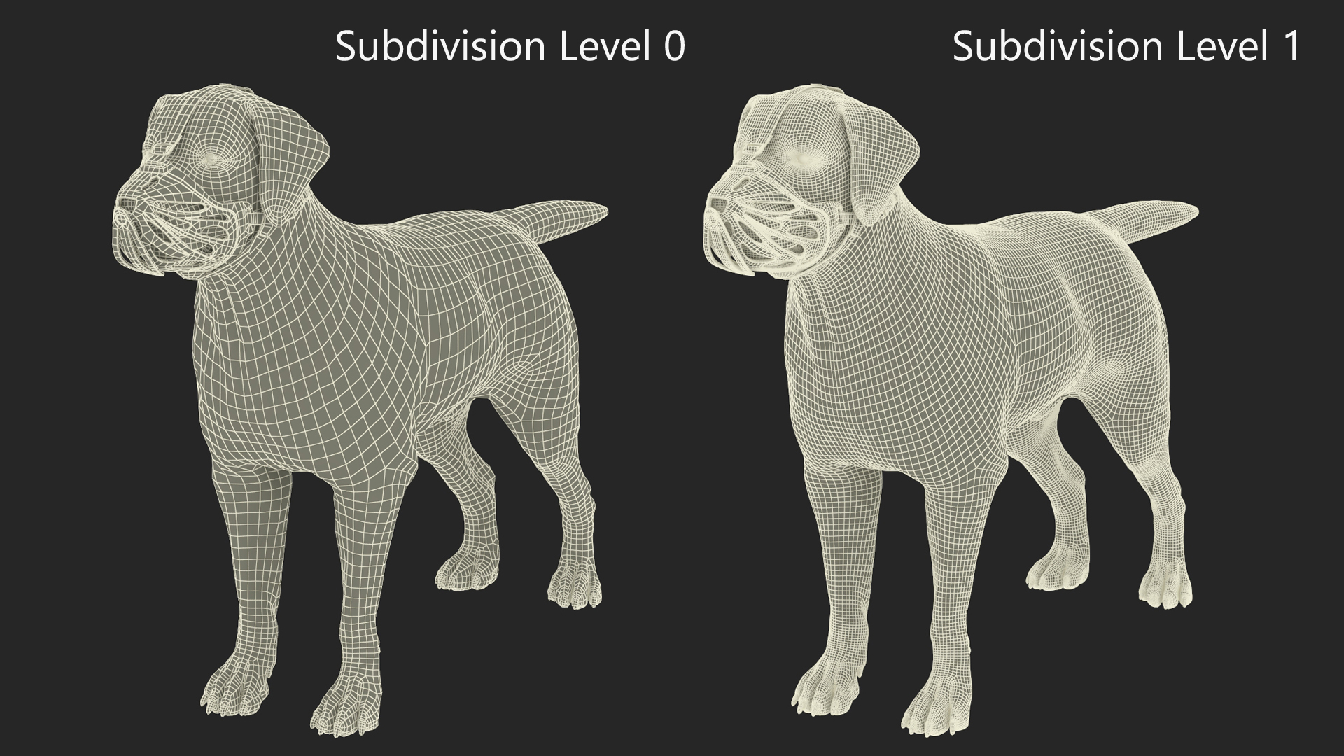 3D model Labrador Dog White with Muzzle
