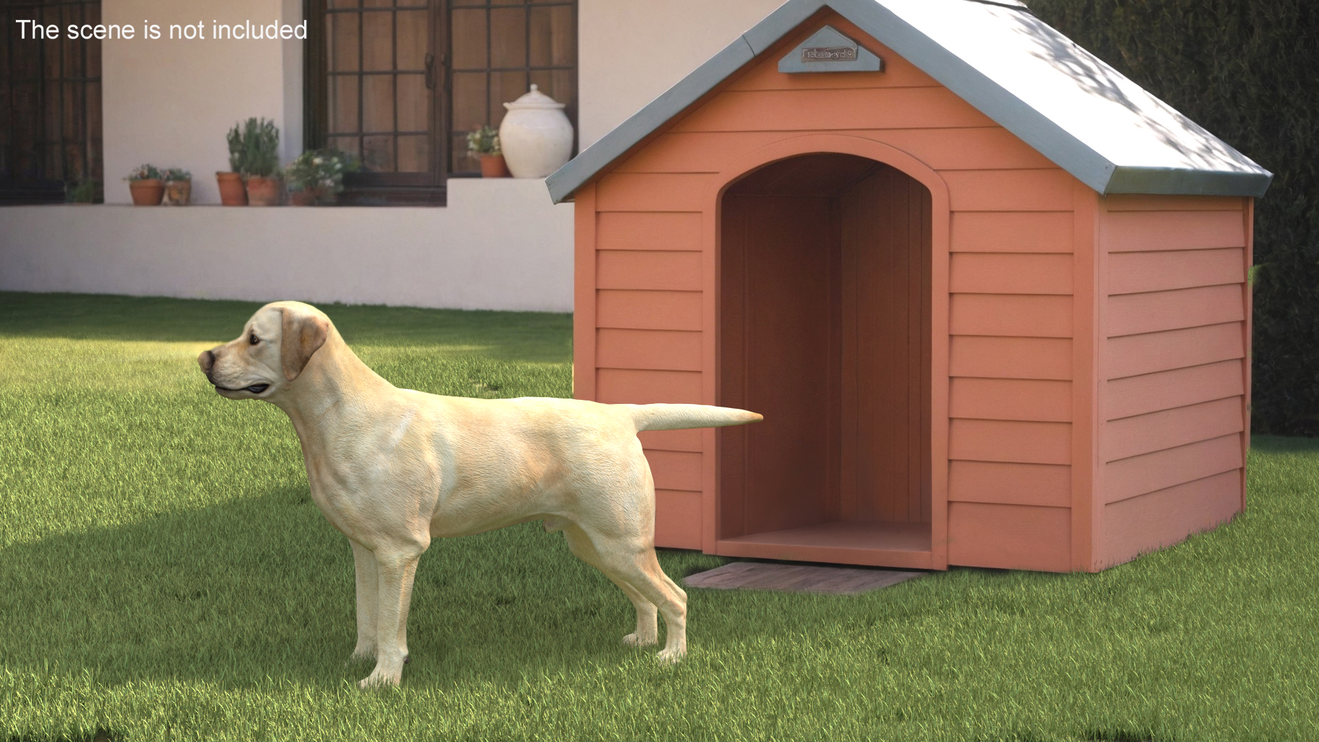 3D model Labrador Dog White with Muzzle
