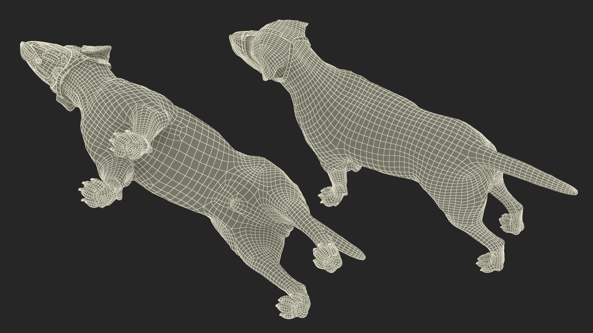 3D model Labrador Dog White with Muzzle