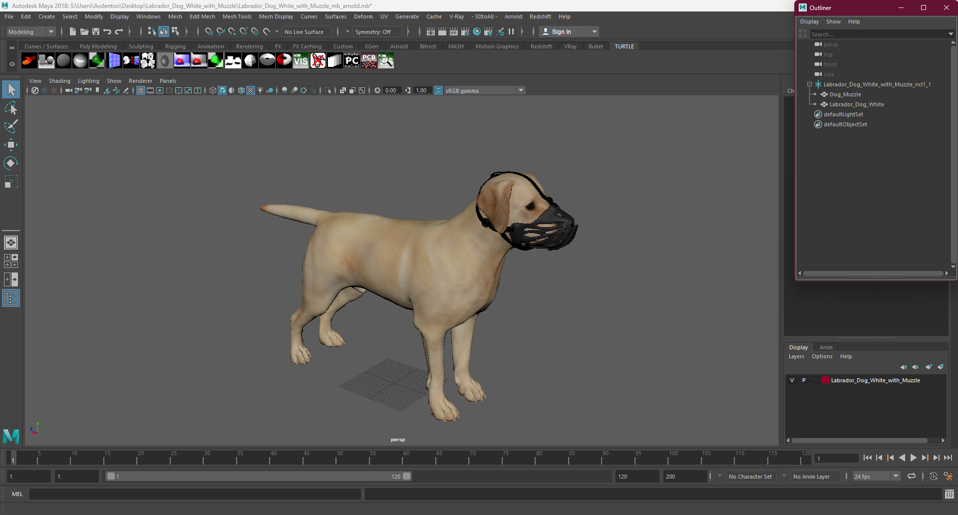 3D model Labrador Dog White with Muzzle