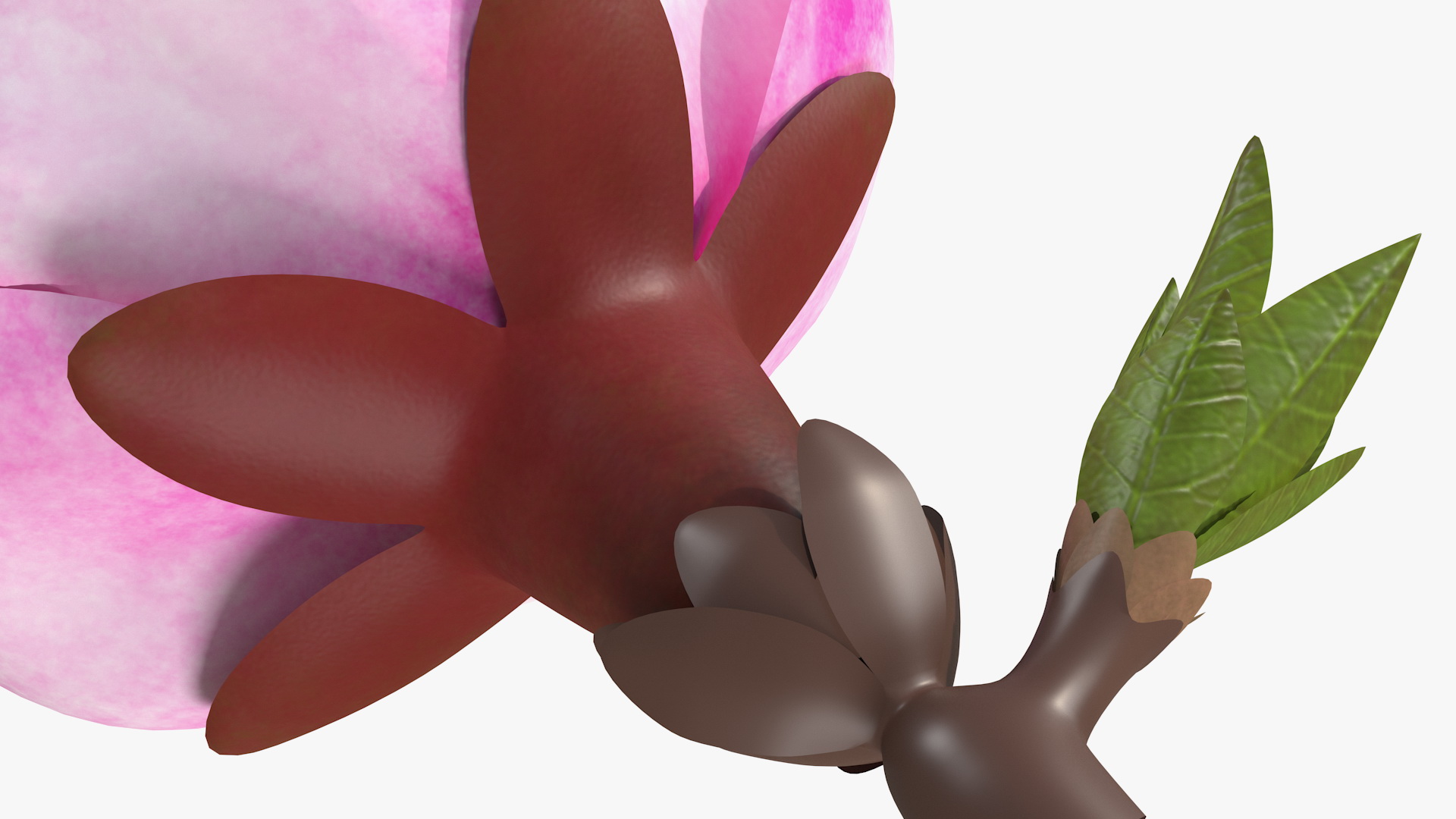 3D Sakura Pink Flower model