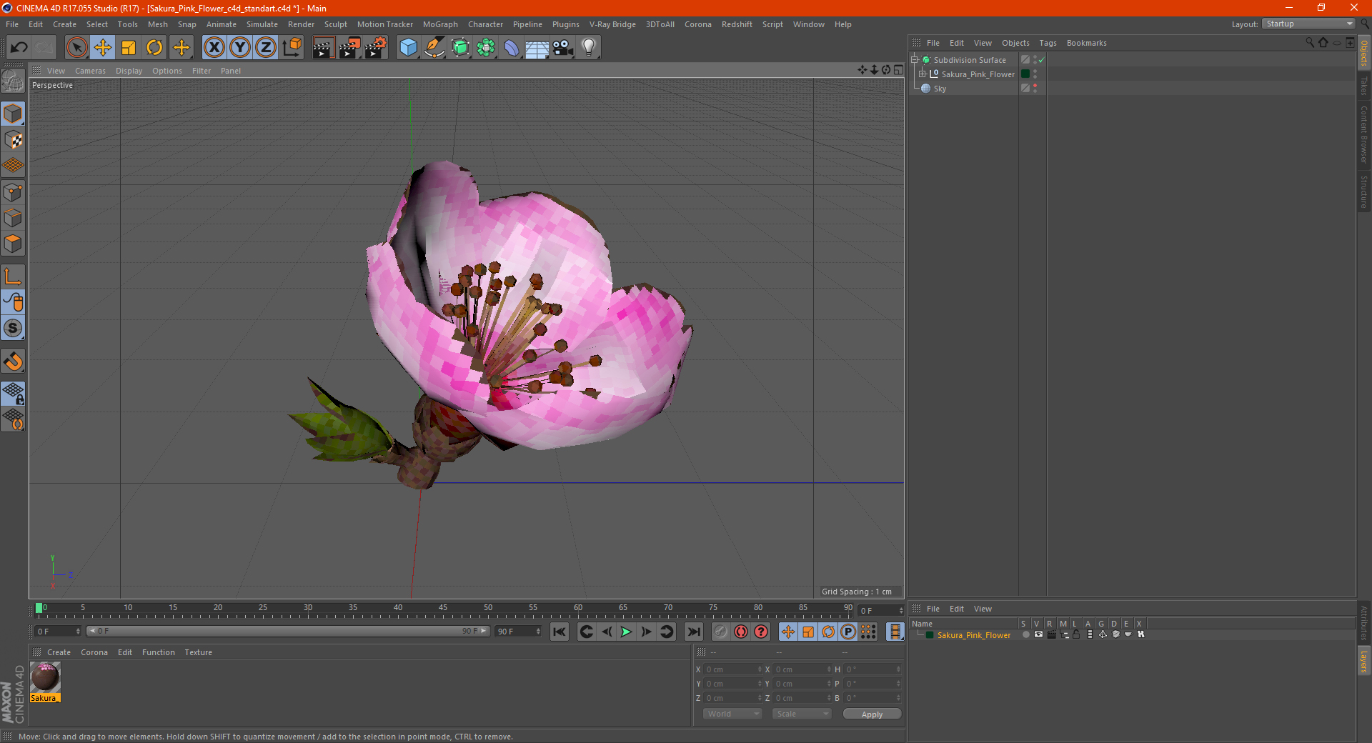 3D Sakura Pink Flower model