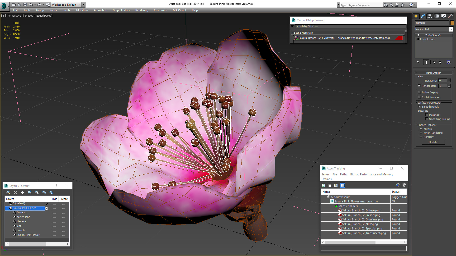 3D Sakura Pink Flower model