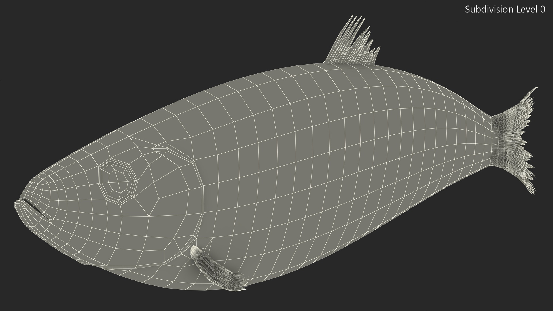 Realistic Atlantic Herring Rigged for Maya 3D