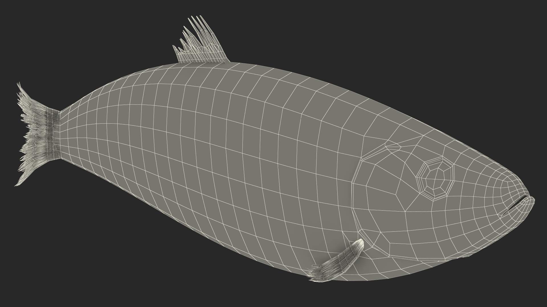 Realistic Atlantic Herring Rigged for Maya 3D