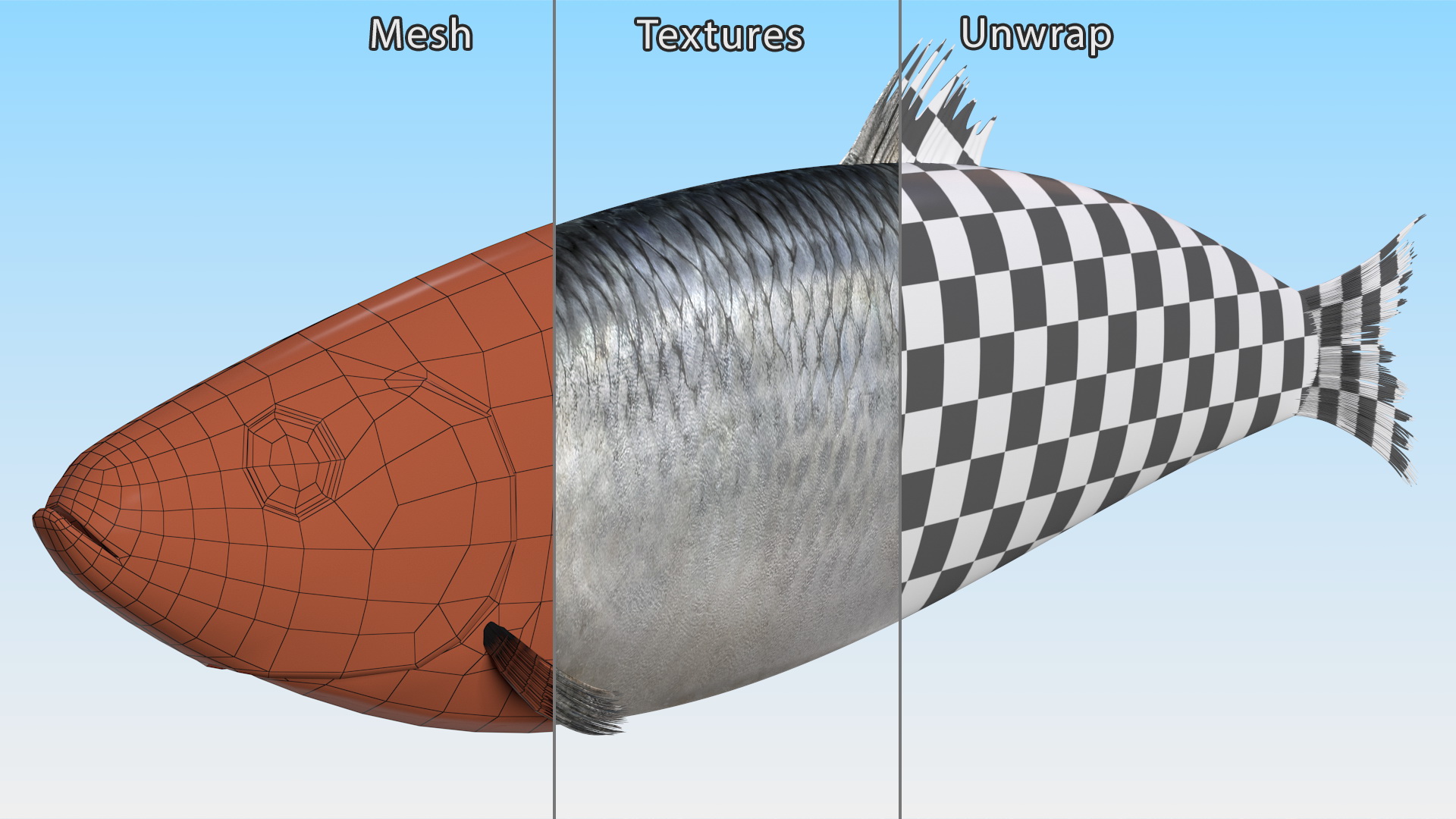 Realistic Atlantic Herring Rigged for Maya 3D