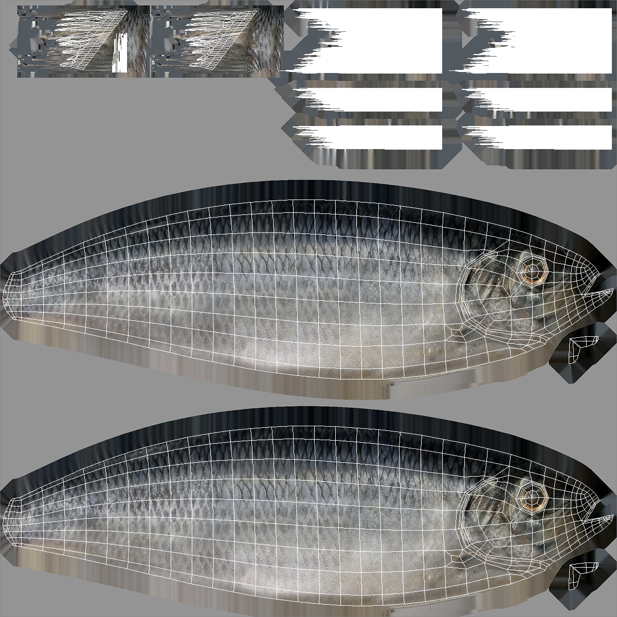 Realistic Atlantic Herring Rigged for Maya 3D
