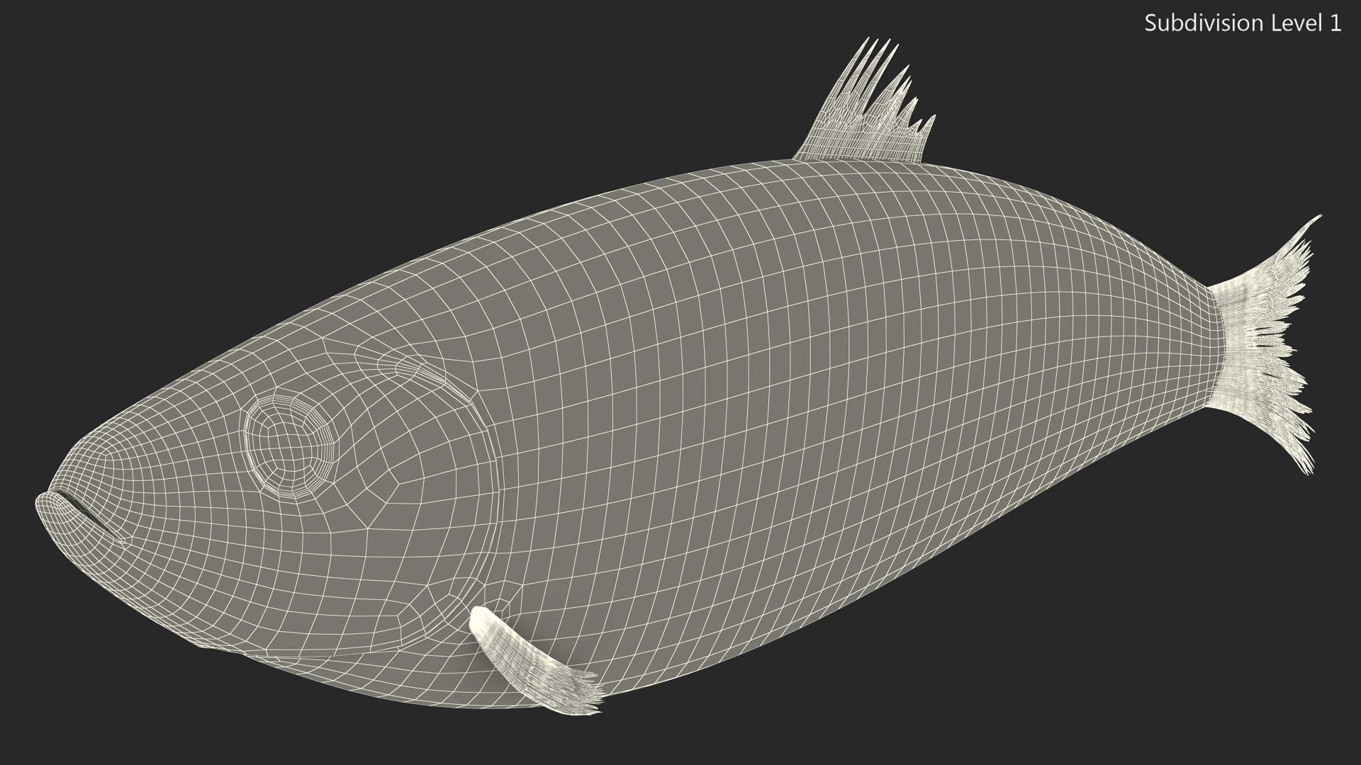 Realistic Atlantic Herring Rigged for Maya 3D