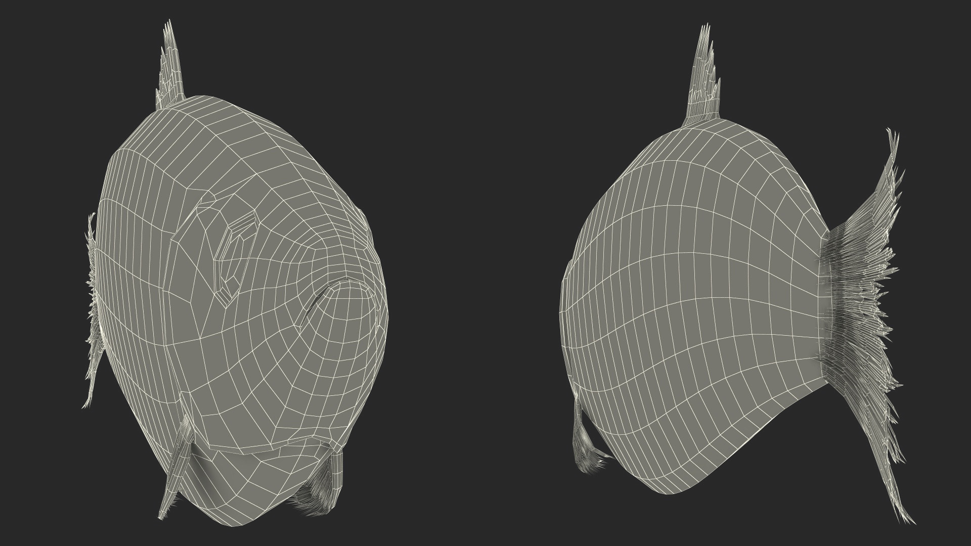 Realistic Atlantic Herring Rigged for Maya 3D