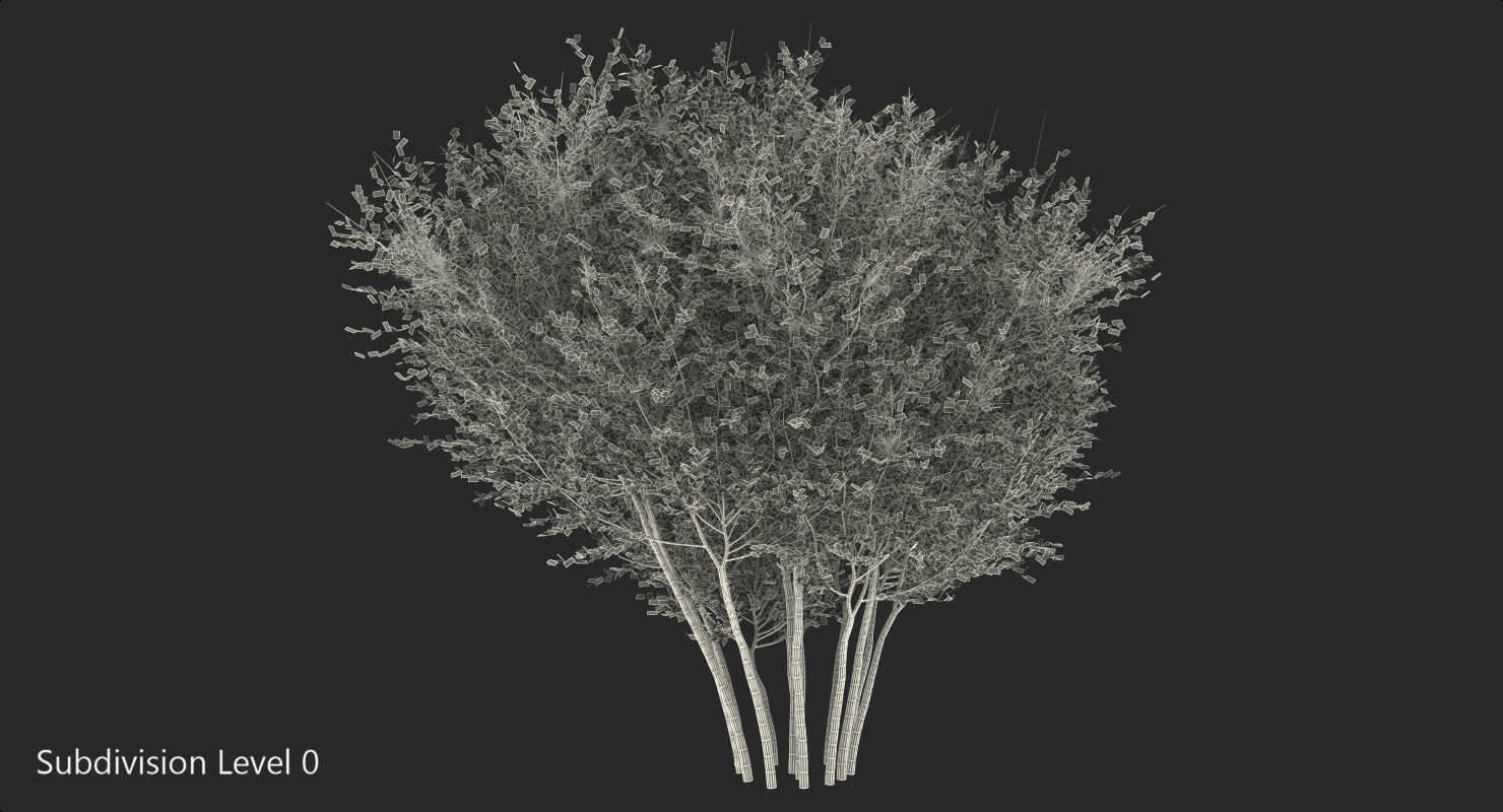 3D model Big Bush