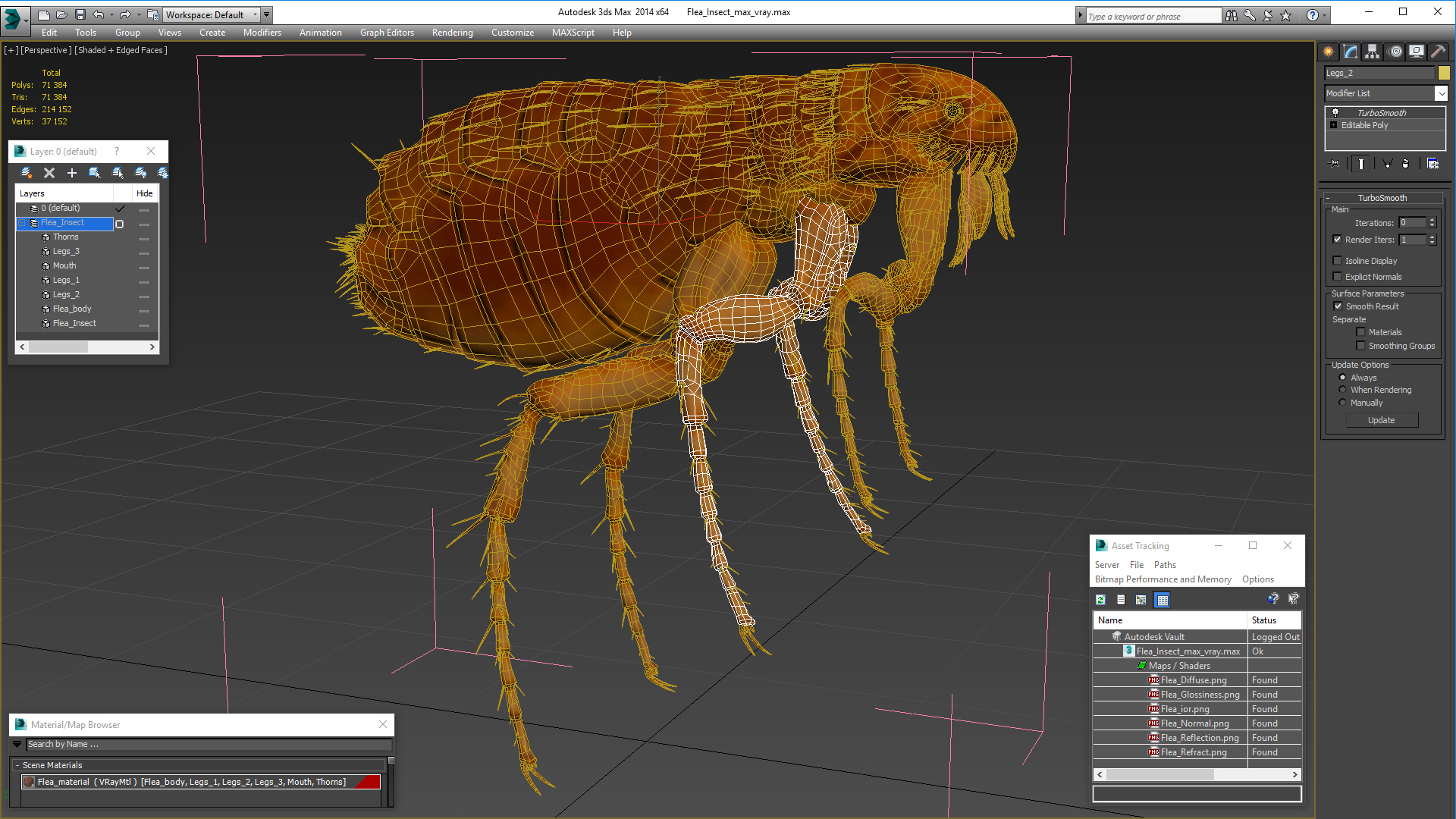 3D Flea Insect