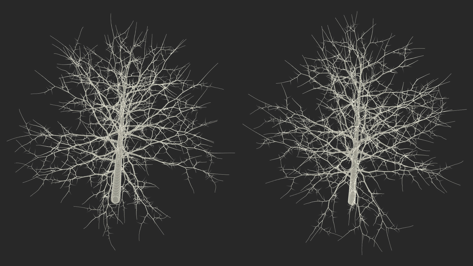 3D model Winter Bare Oak Tree