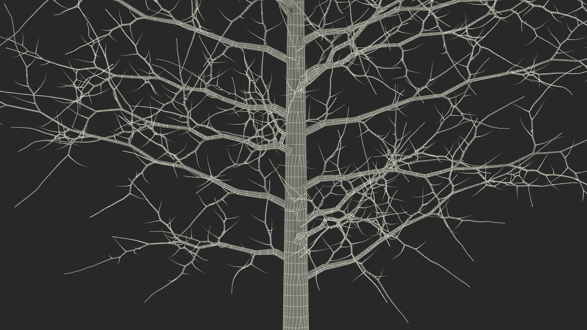 3D model Winter Bare Oak Tree