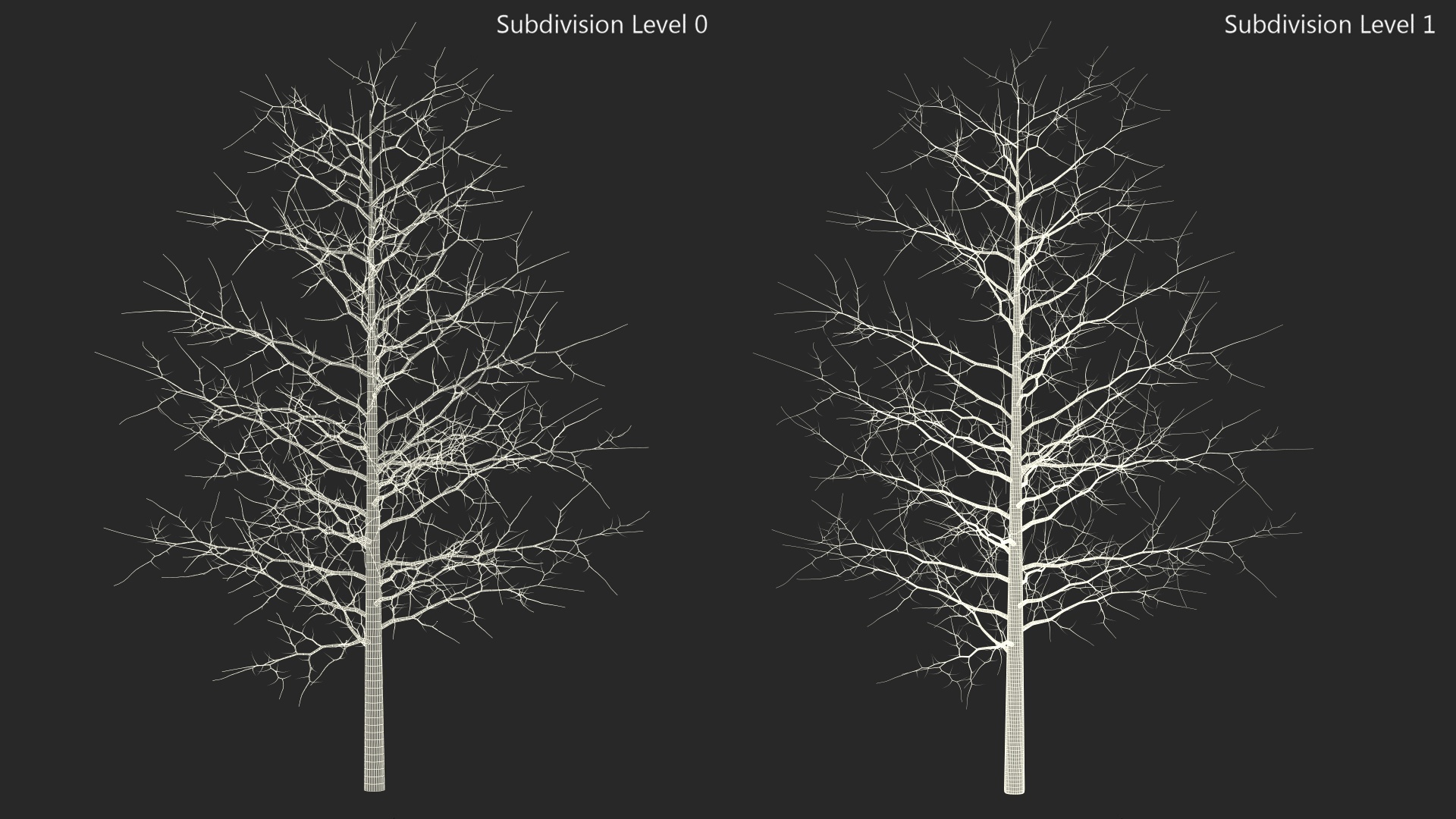 3D model Winter Bare Oak Tree