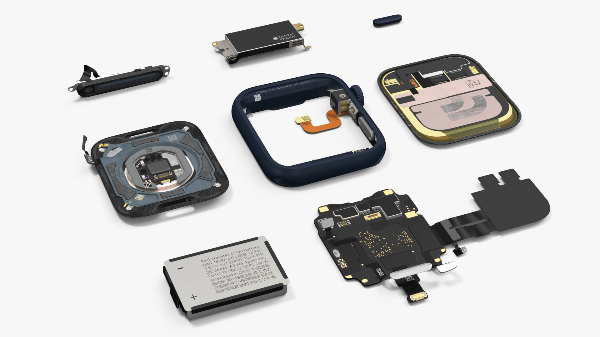 Disassembled Apple Watch SE 3D