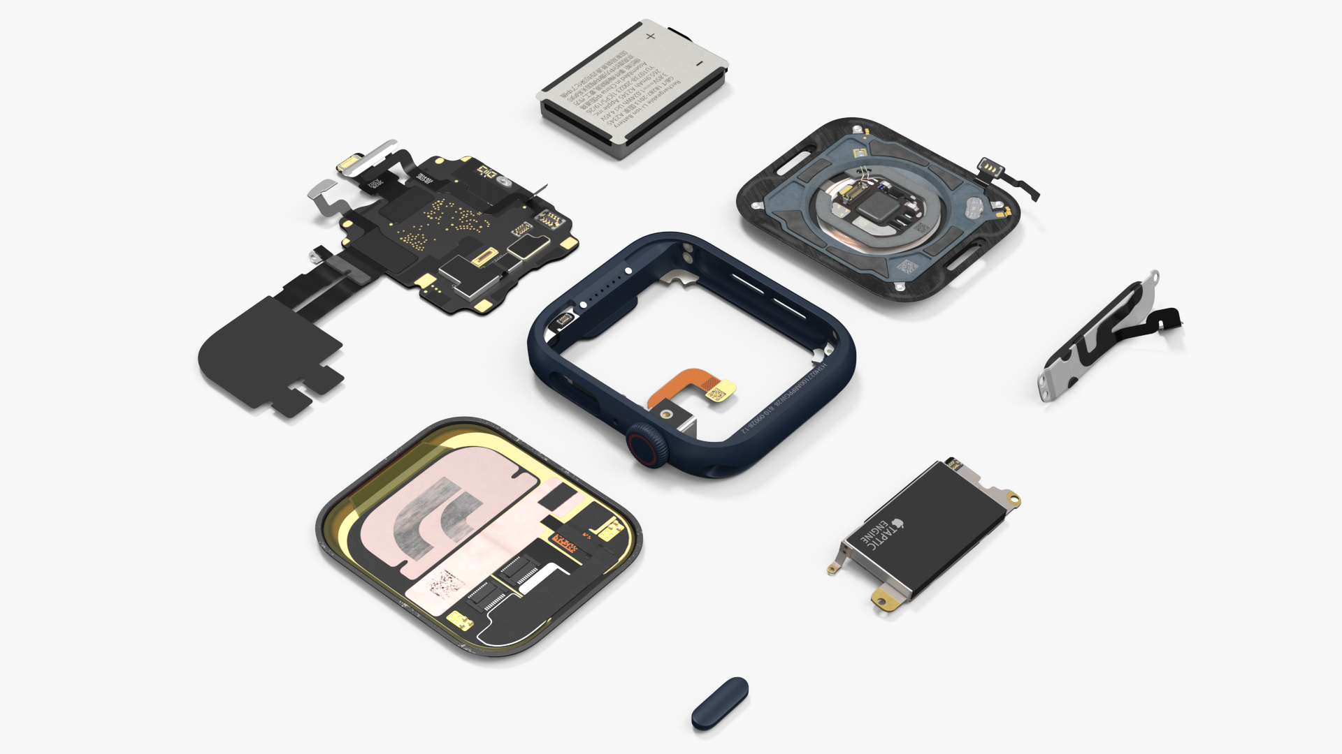 Disassembled Apple Watch SE 3D