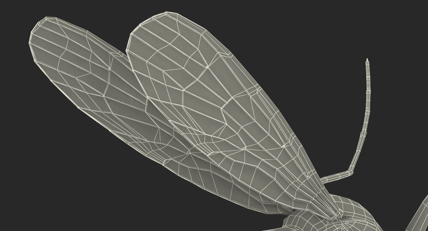 Mosquito Pose 4 with Fur 3D model