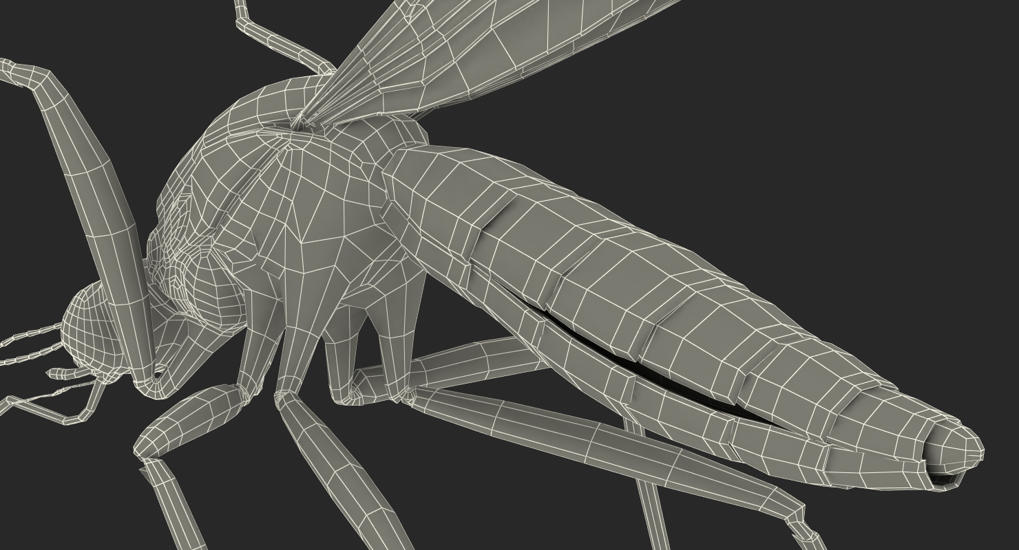 Mosquito Pose 4 with Fur 3D model