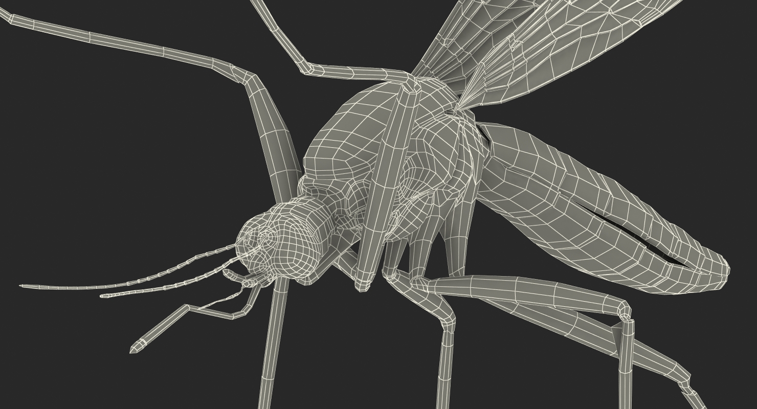 Mosquito Pose 4 with Fur 3D model