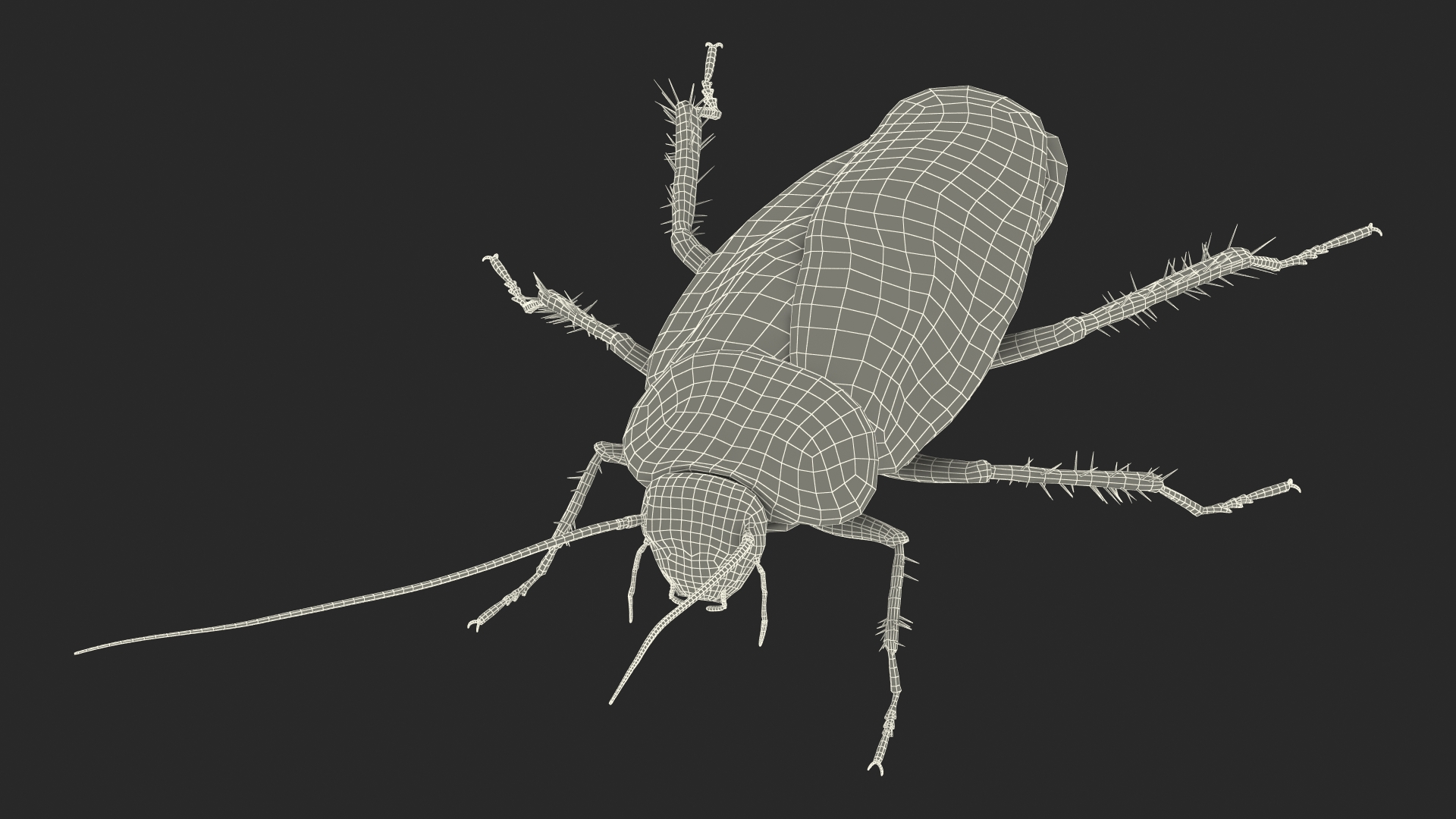 Animated Cockroach Running Rigged for Cinema 4D 3D