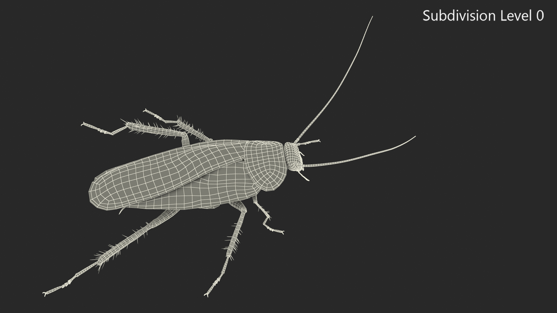 Animated Cockroach Running Rigged for Cinema 4D 3D