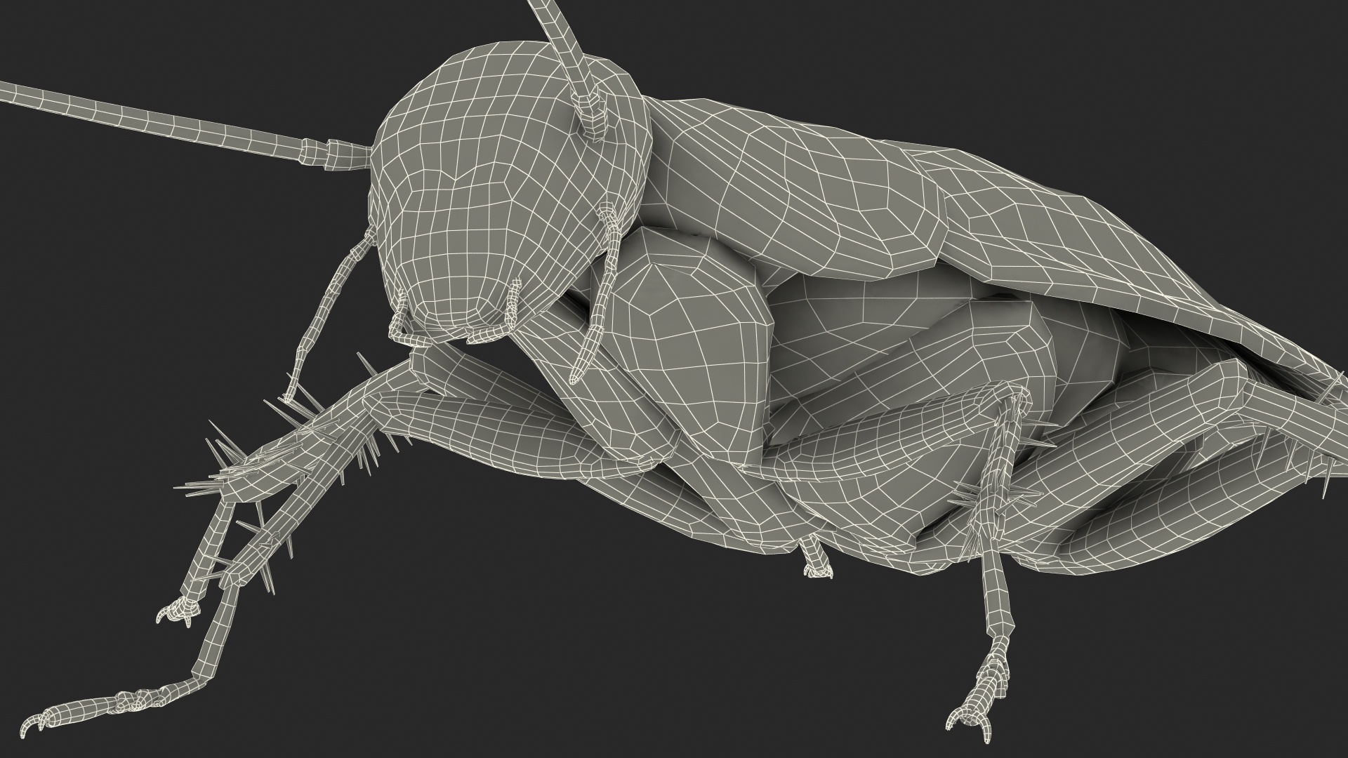 Animated Cockroach Running Rigged for Cinema 4D 3D