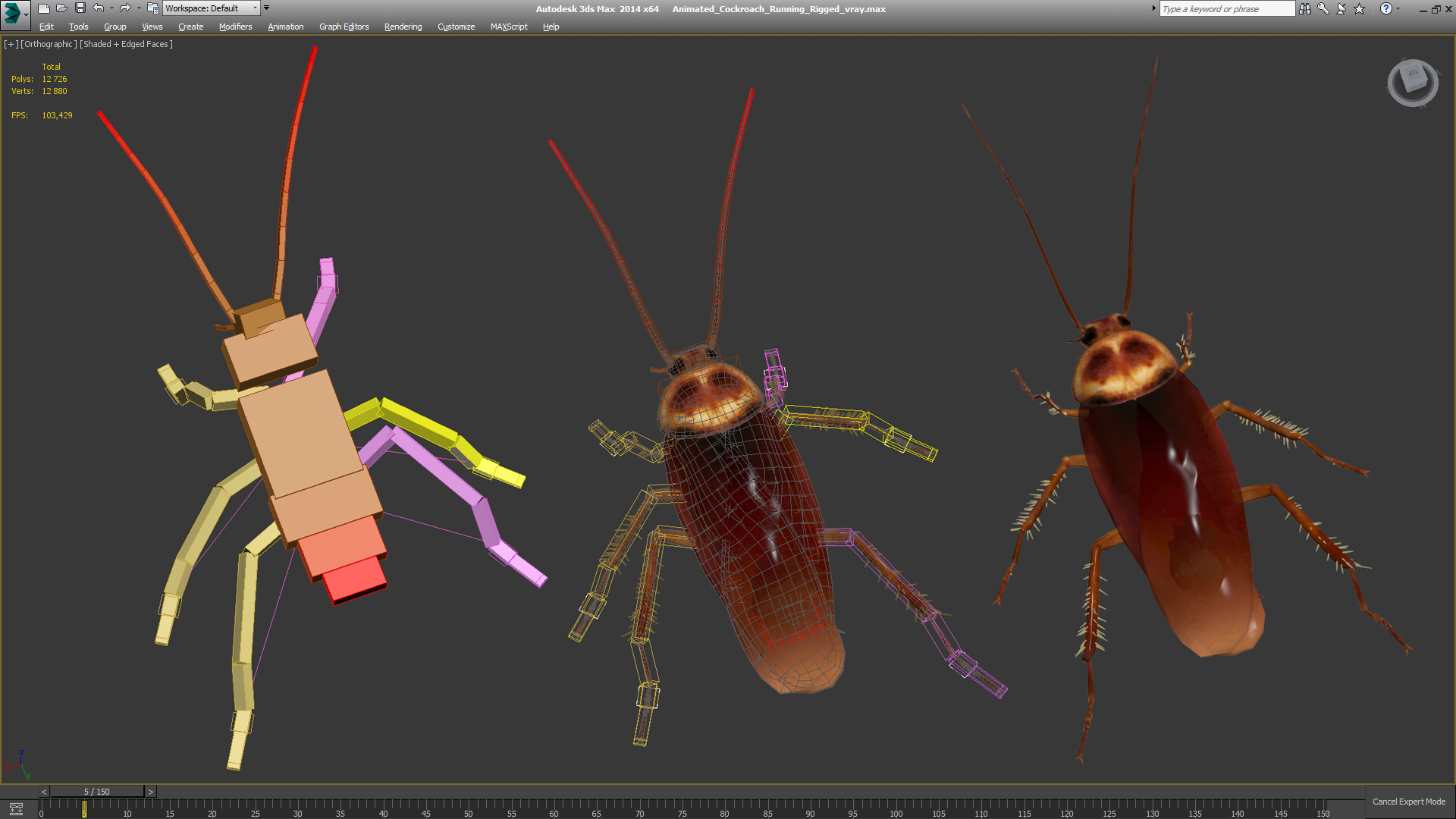 Animated Cockroach Running Rigged for Cinema 4D 3D