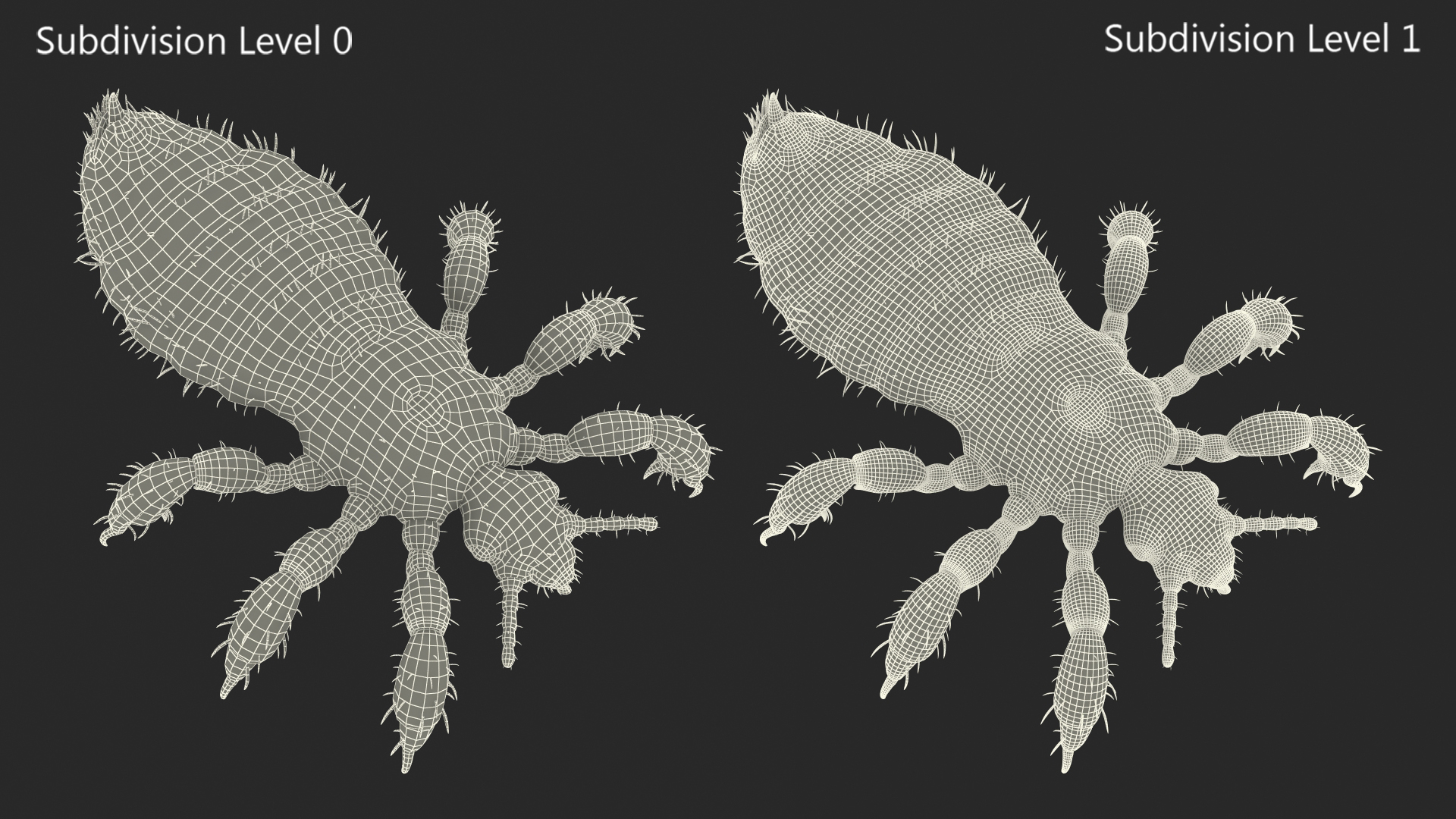 3D Phthiraptera White SSS Rigged for Cinema 4D model
