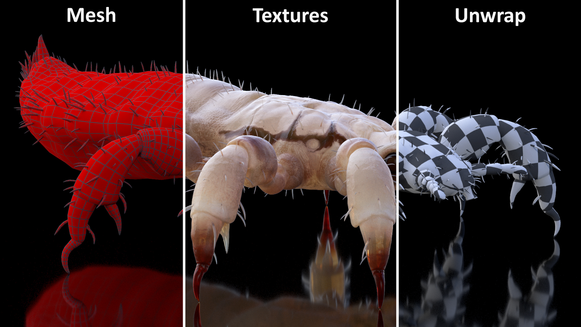 3D Phthiraptera White SSS Rigged for Cinema 4D model