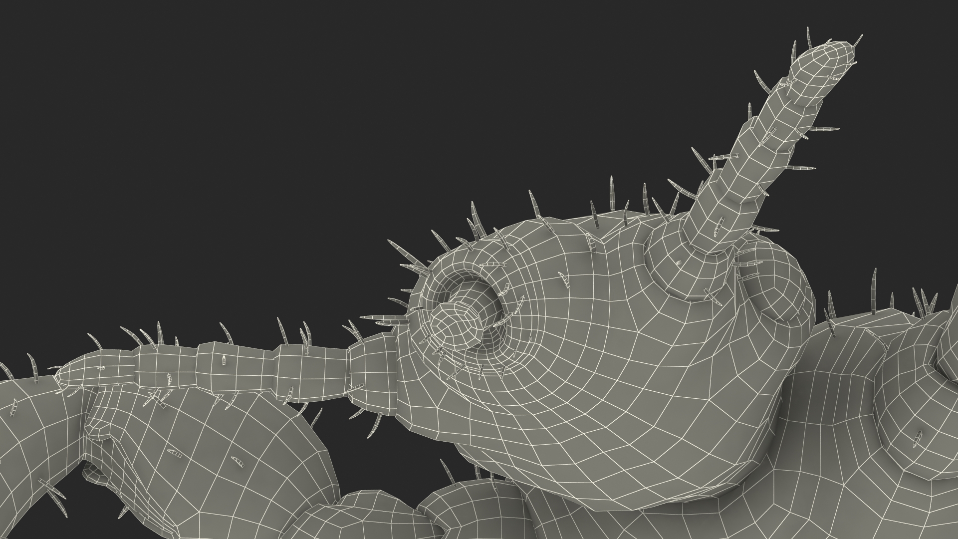 3D Phthiraptera White SSS Rigged for Cinema 4D model