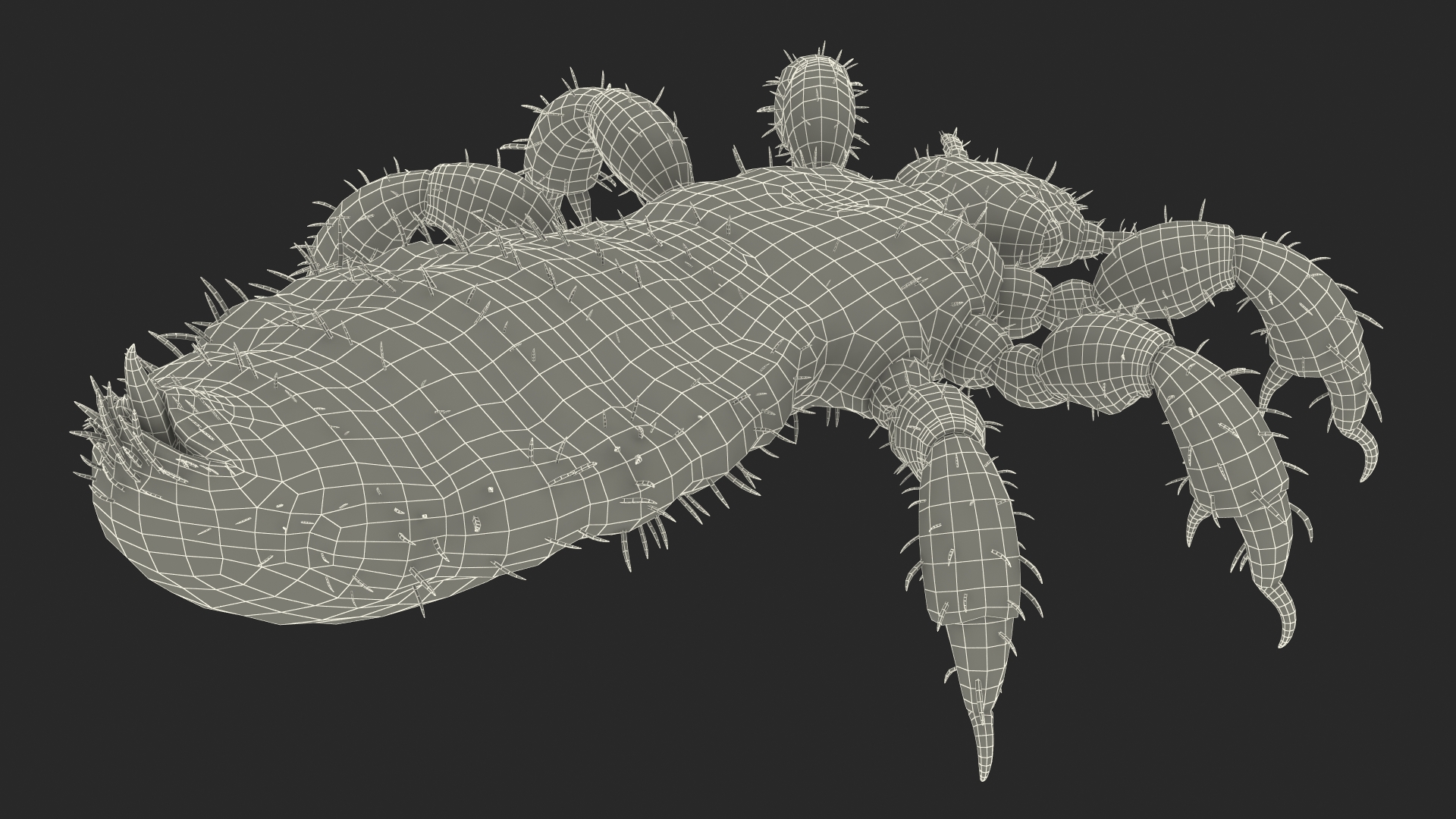 3D Phthiraptera White SSS Rigged for Cinema 4D model