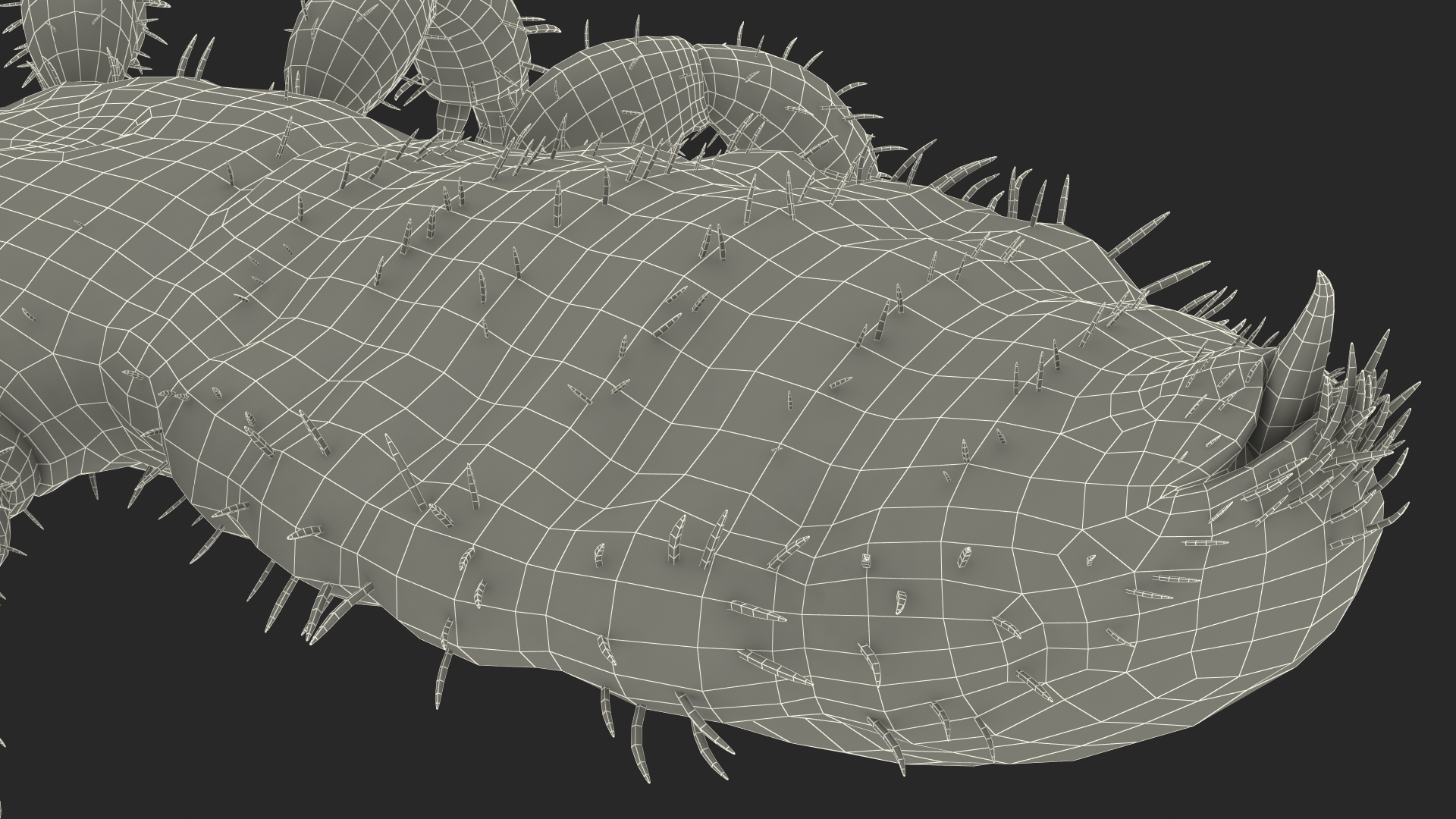 3D Phthiraptera White SSS Rigged for Cinema 4D model