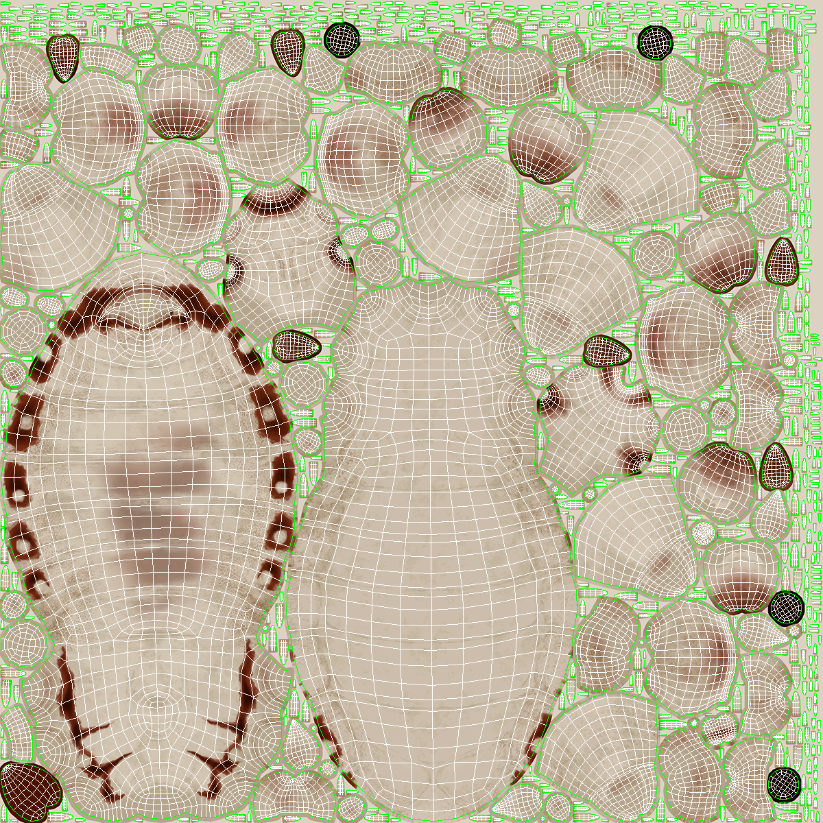 3D Phthiraptera White SSS Rigged for Cinema 4D model