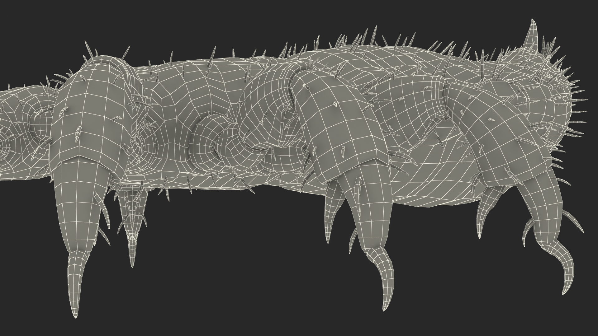 3D Phthiraptera White SSS Rigged for Cinema 4D model