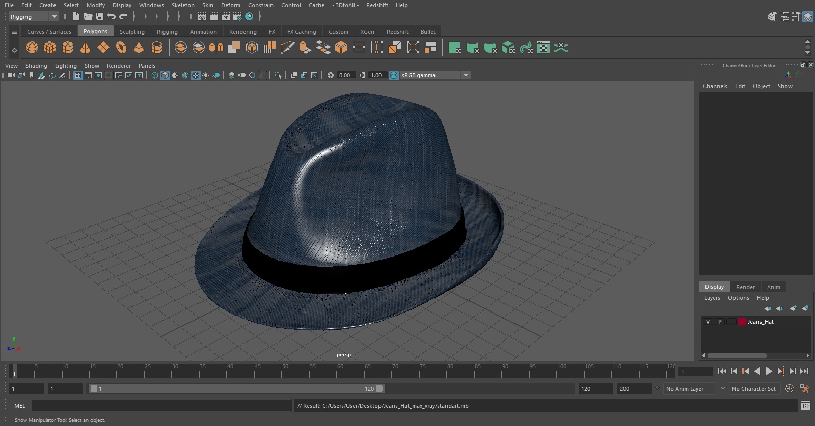 Jeans Hat 3D model