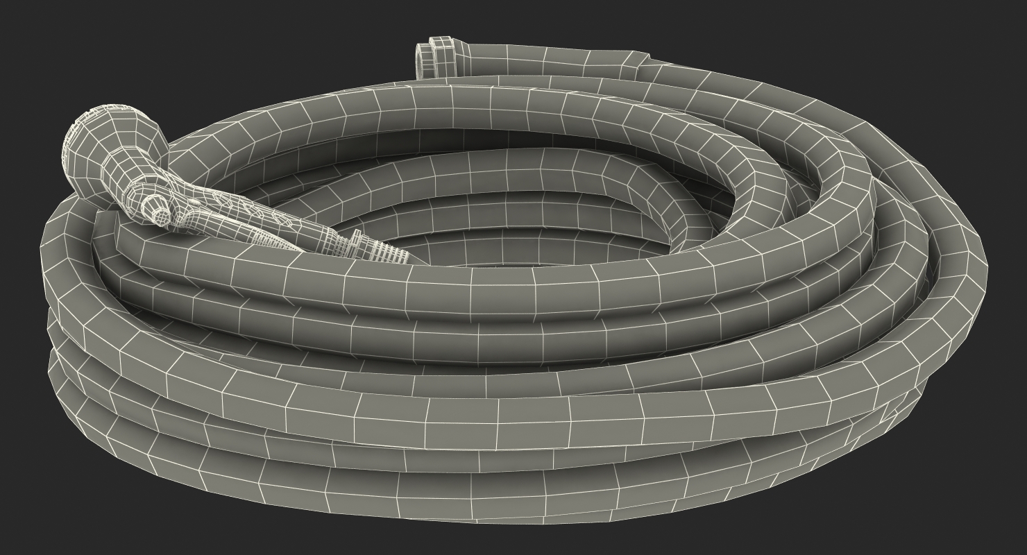 3D model Garden Hose and Trigger Nozzle
