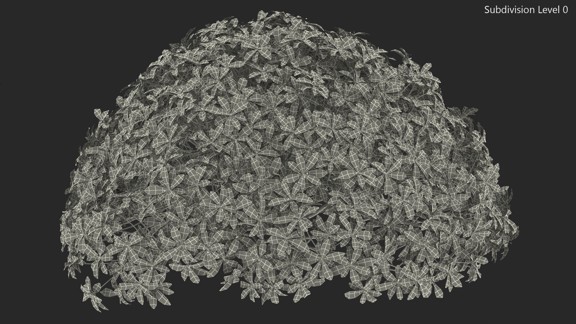 Daphne Odora 3D