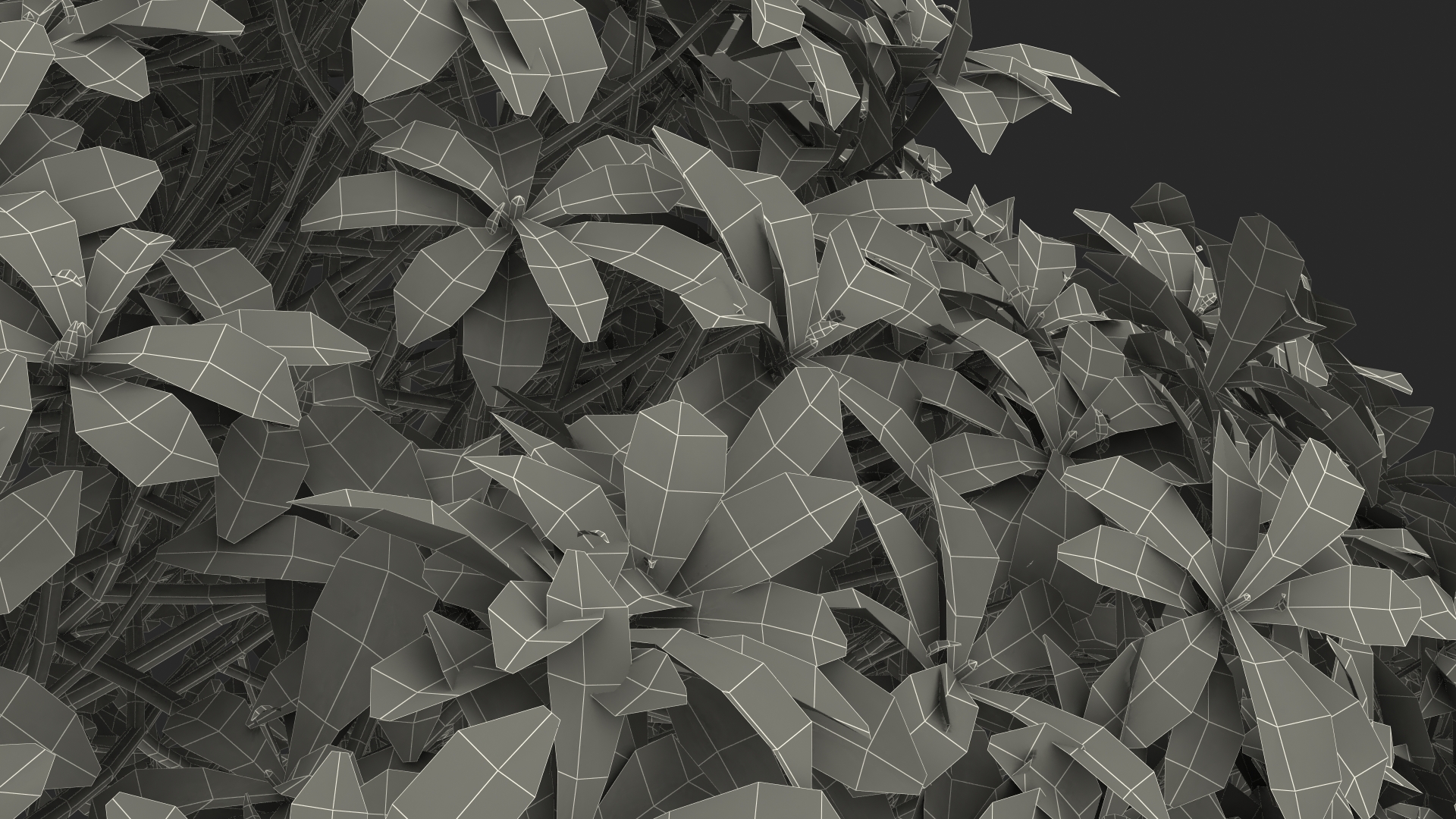 Daphne Odora 3D