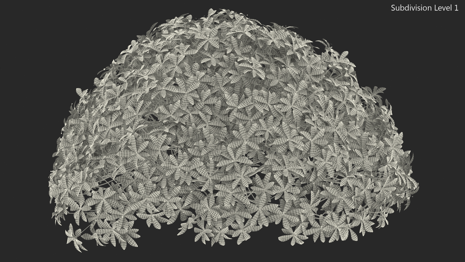 Daphne Odora 3D