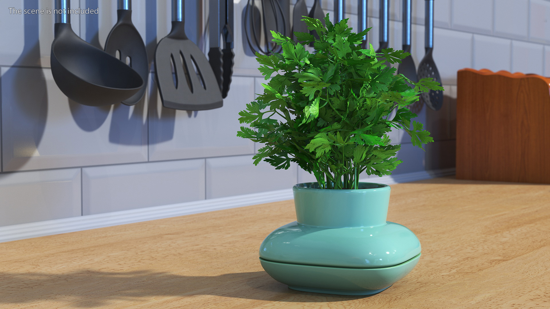Stoneware Single Herb Pot Green with Parsley 3D model