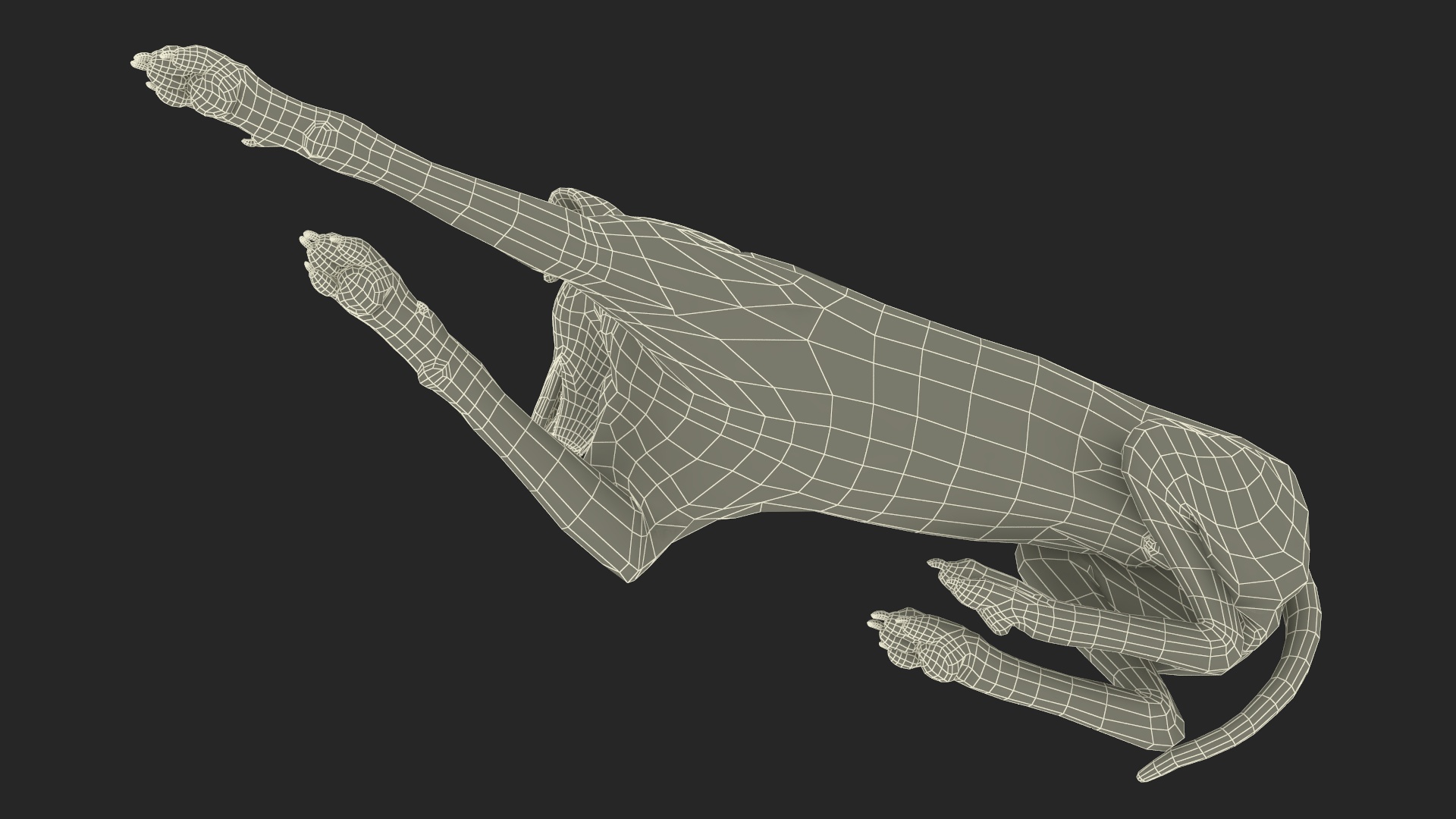 Lying Dalmatian Dog 3D model