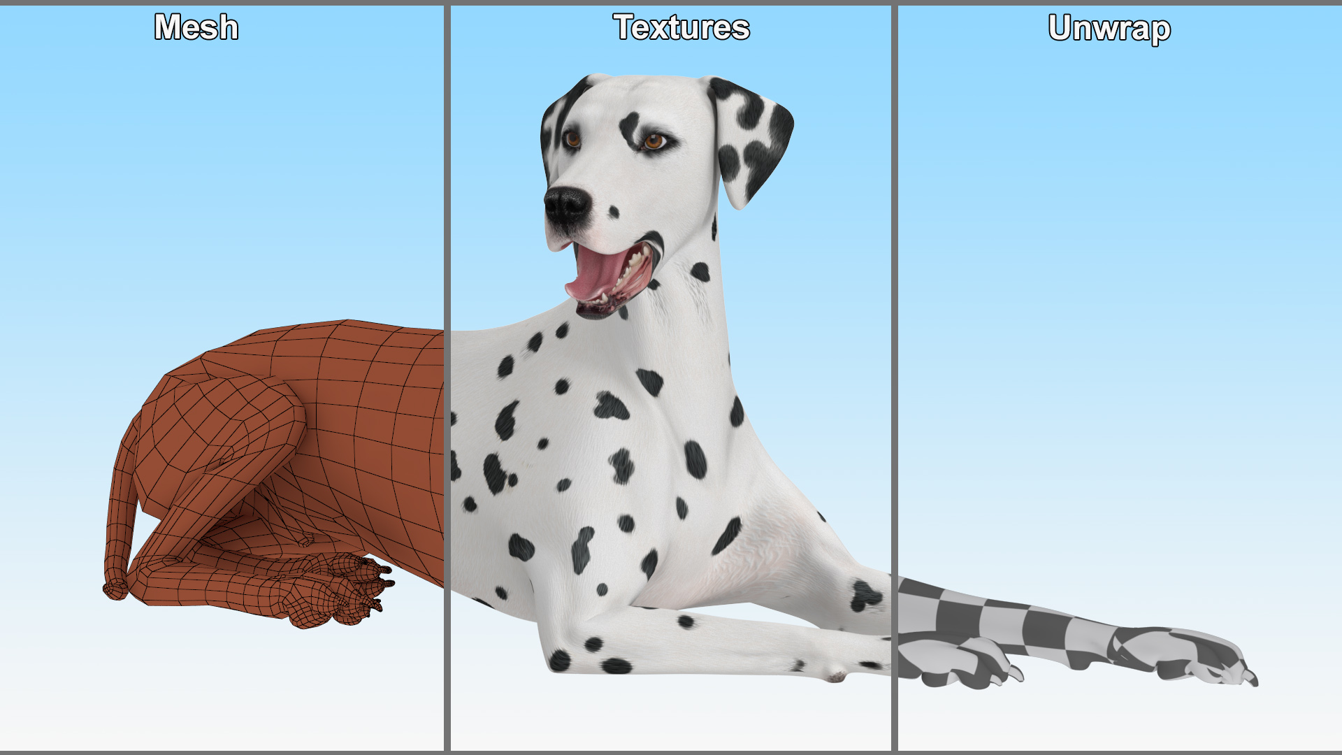 Lying Dalmatian Dog 3D model